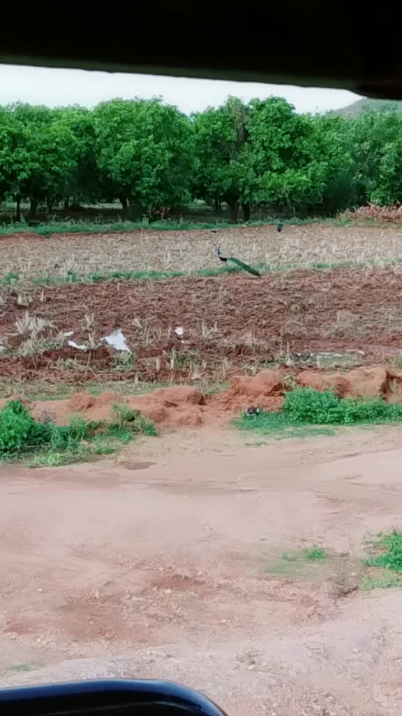 @varaprasad varma