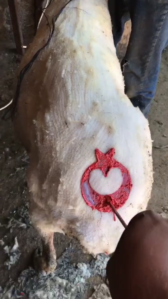 @Hüseyin Şen