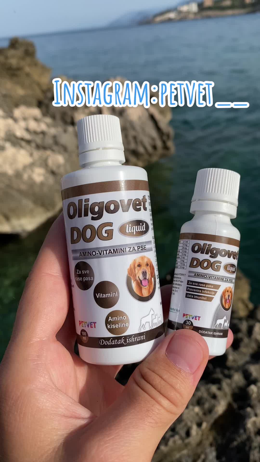 @Petvet