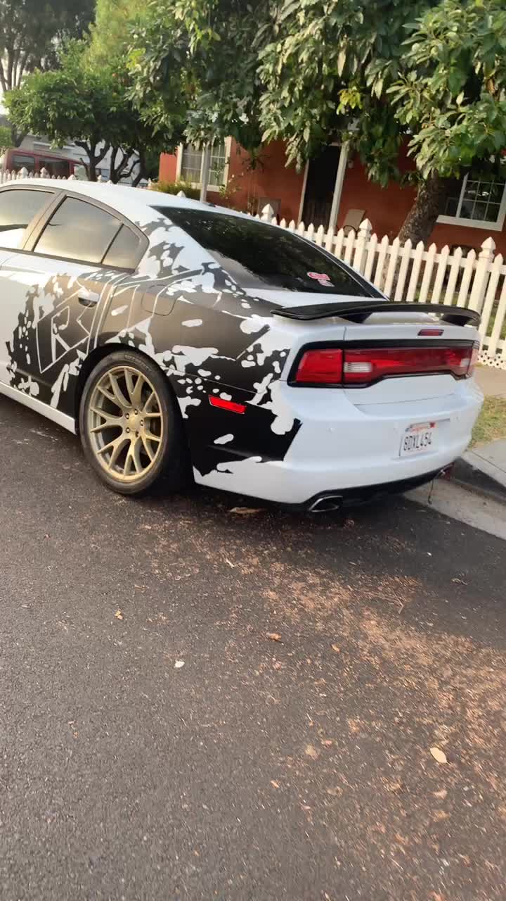 @Chapo_Ss