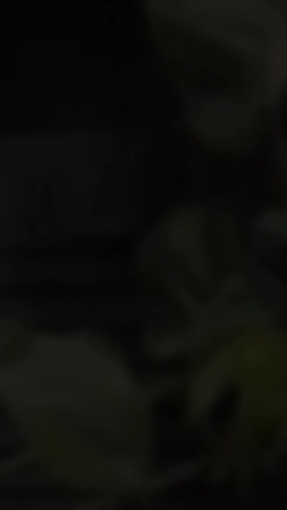 @Lsིྀrིྀiིྀ