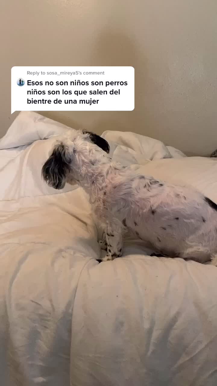 @Jessica Gómez