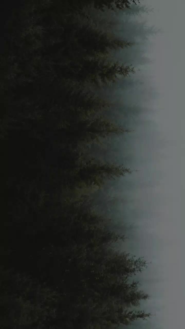 @Sravanthi P
