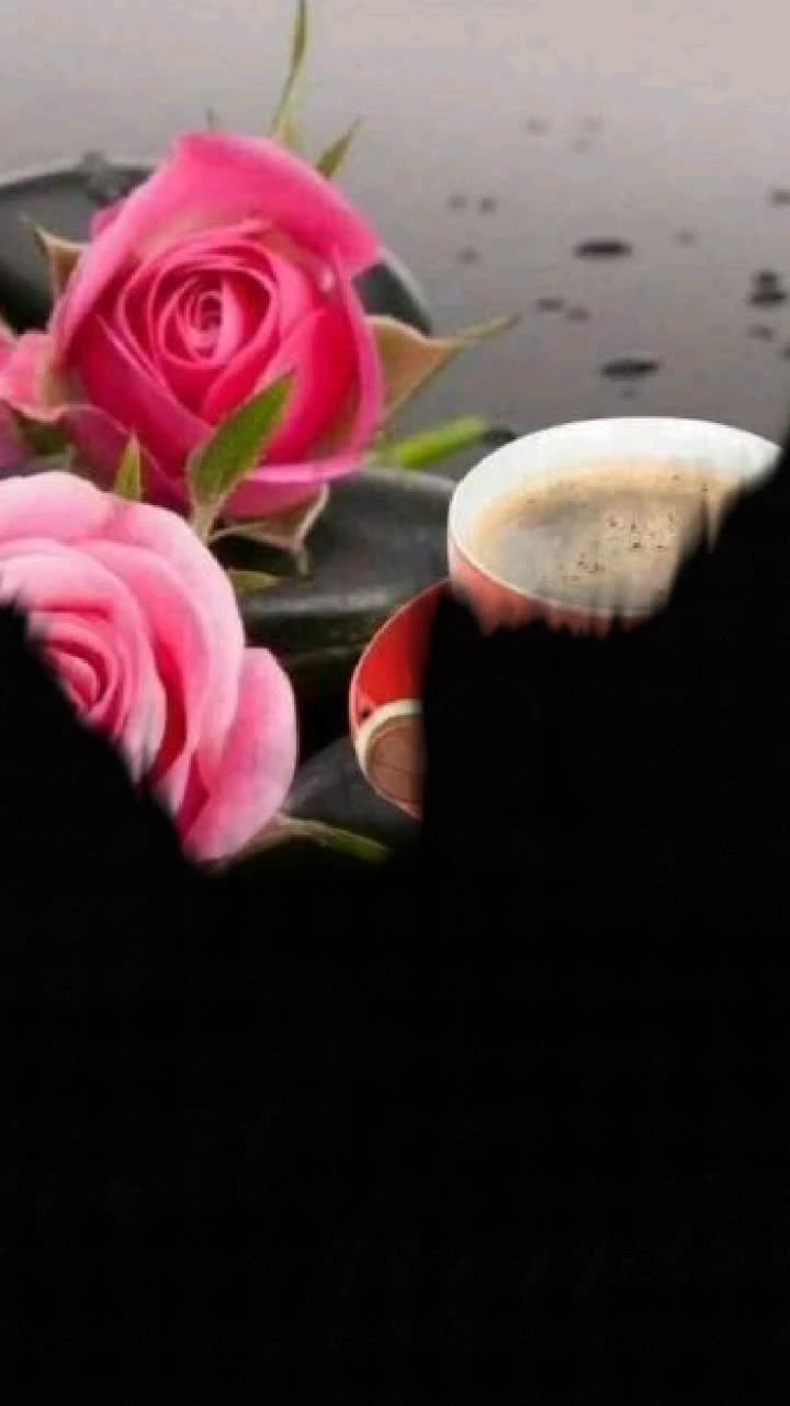 @Meghna kumari