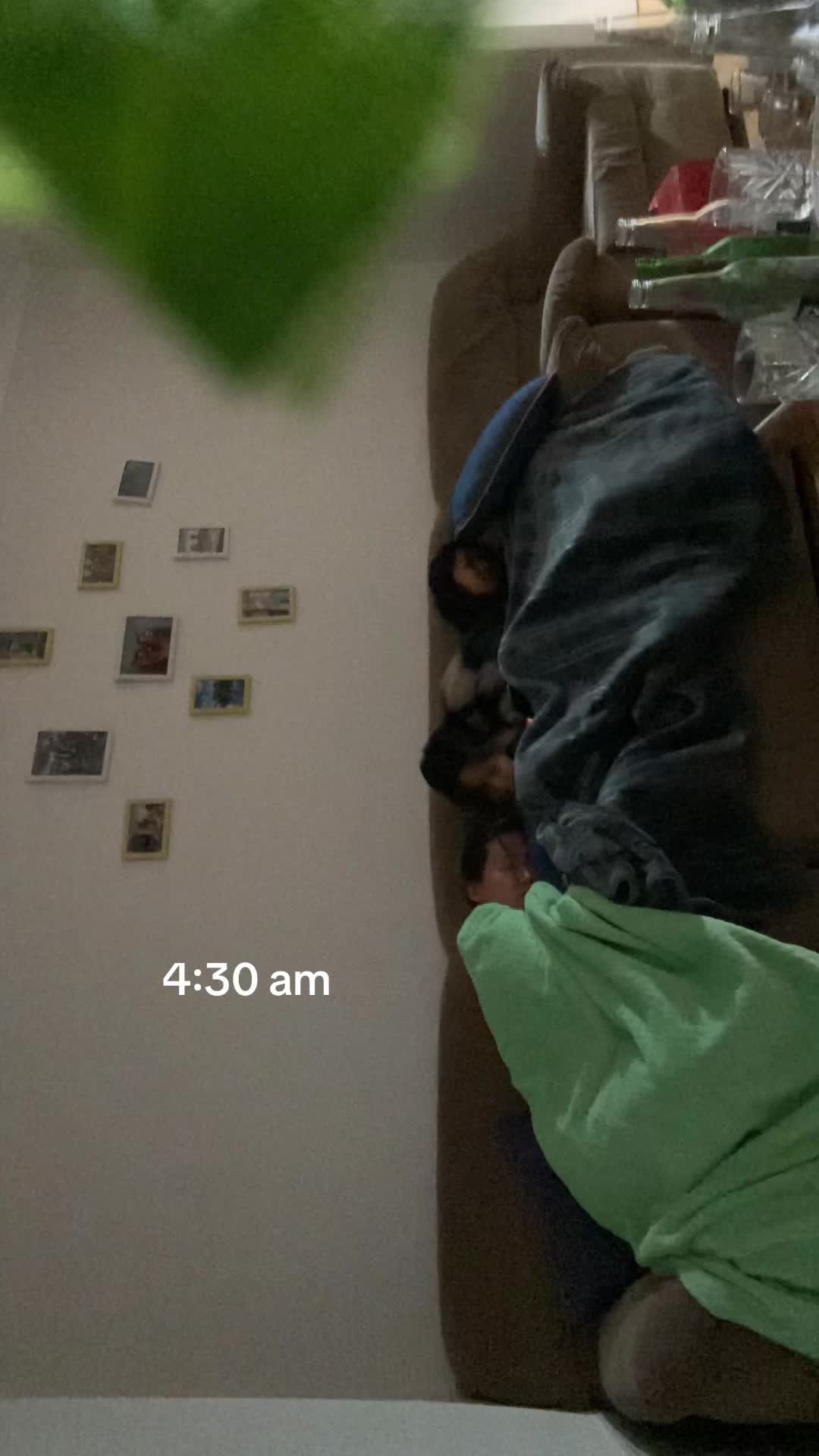 @Fumiko