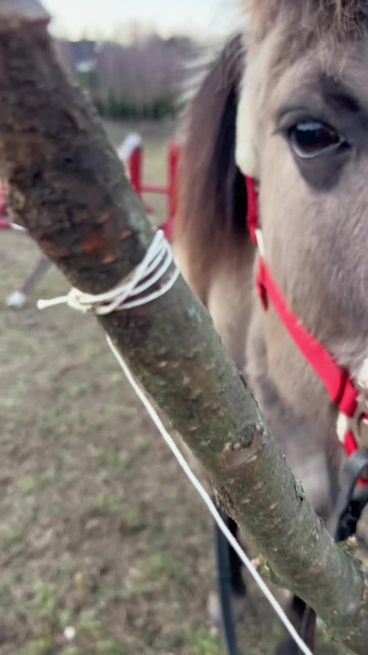 @Stajnia Miejsce Rozwoju