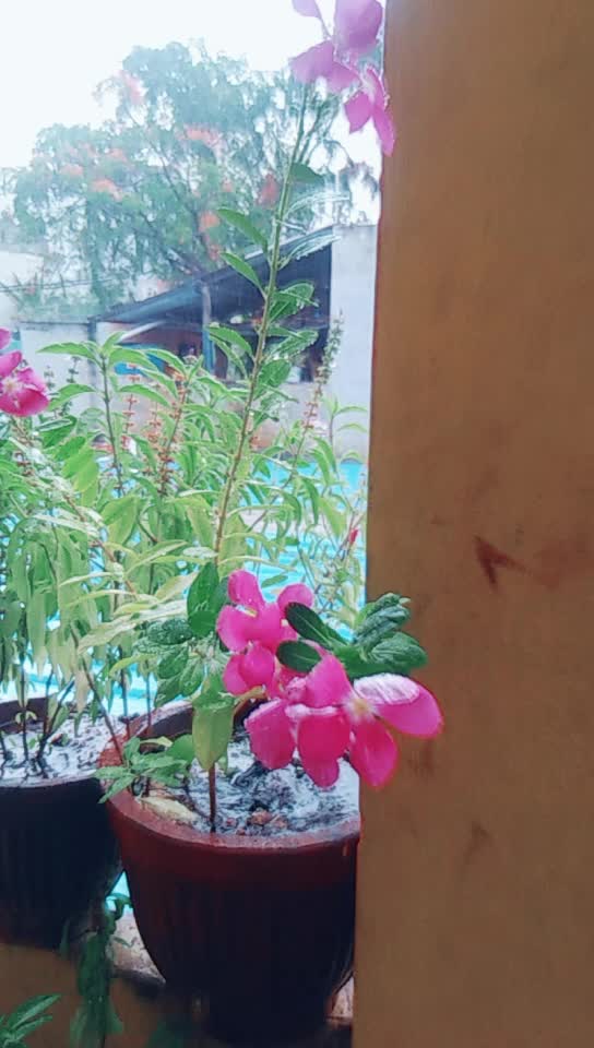 @Deepu Sindhu