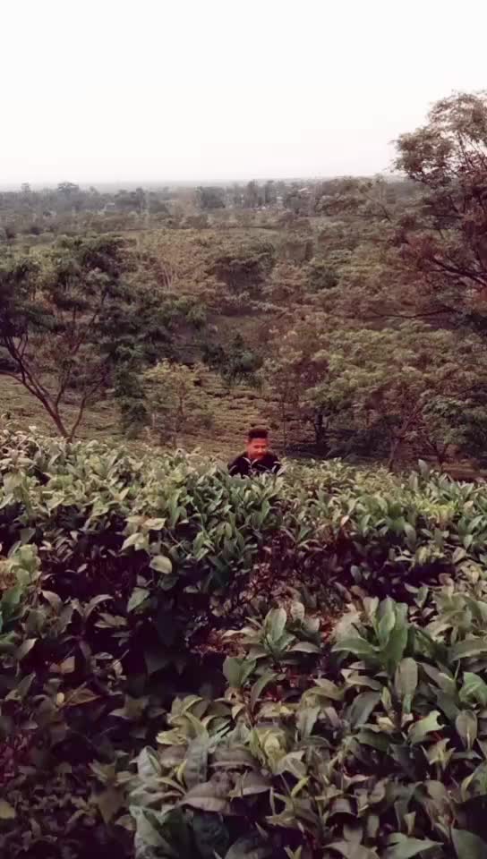 @CHANDAN KALANDI