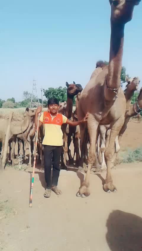 @Rutvik Desai