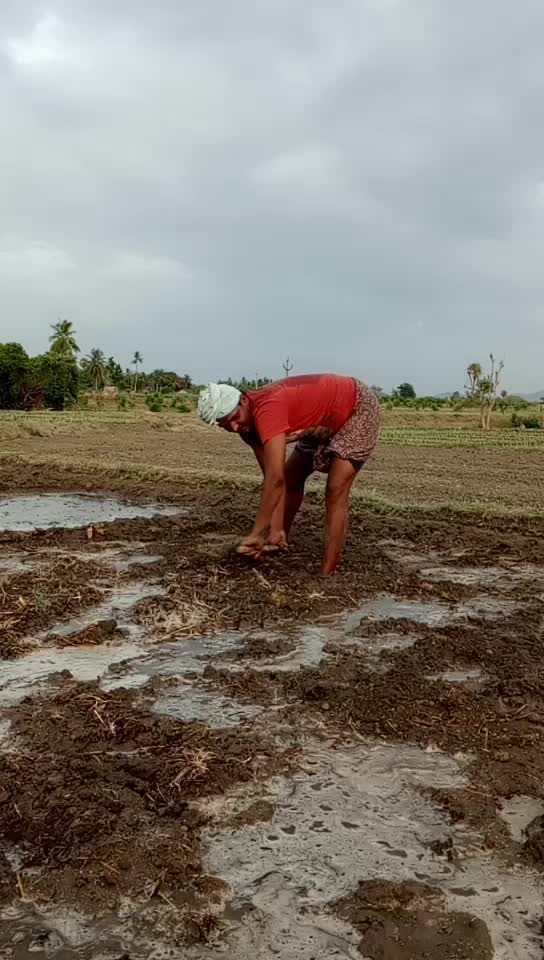 @Kiran Pandhigunta