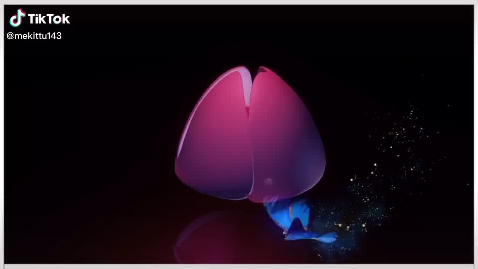 @Harryjanu