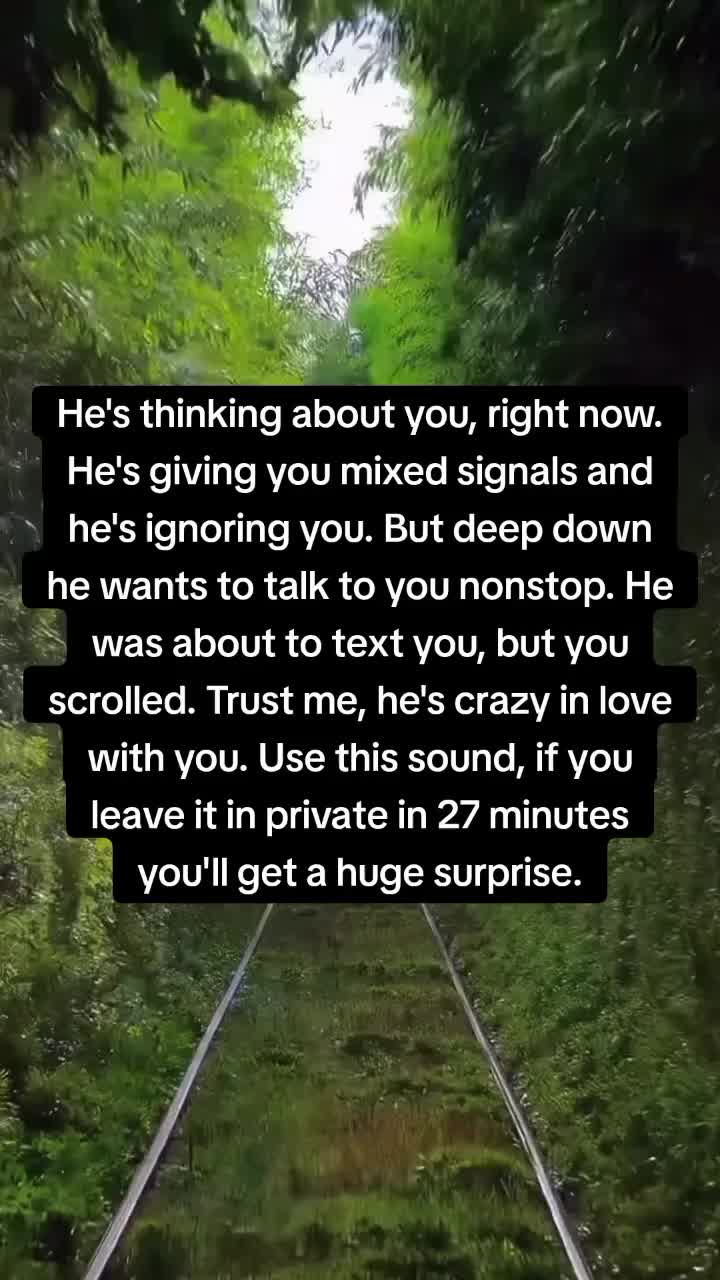 @wisdom whispers