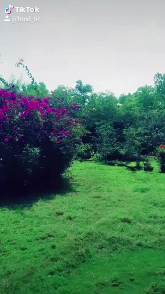 @🌻 HMD_TIR 🌻