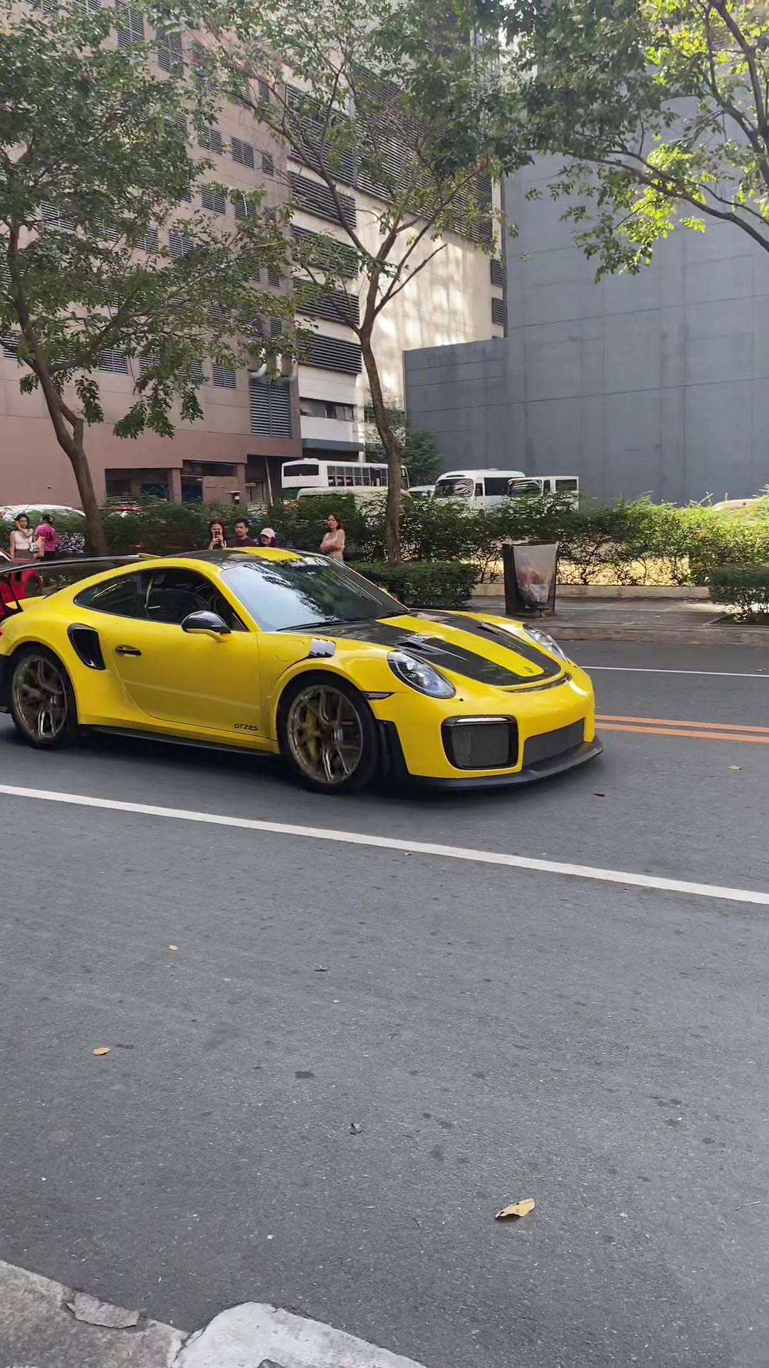 @Manila Exotics