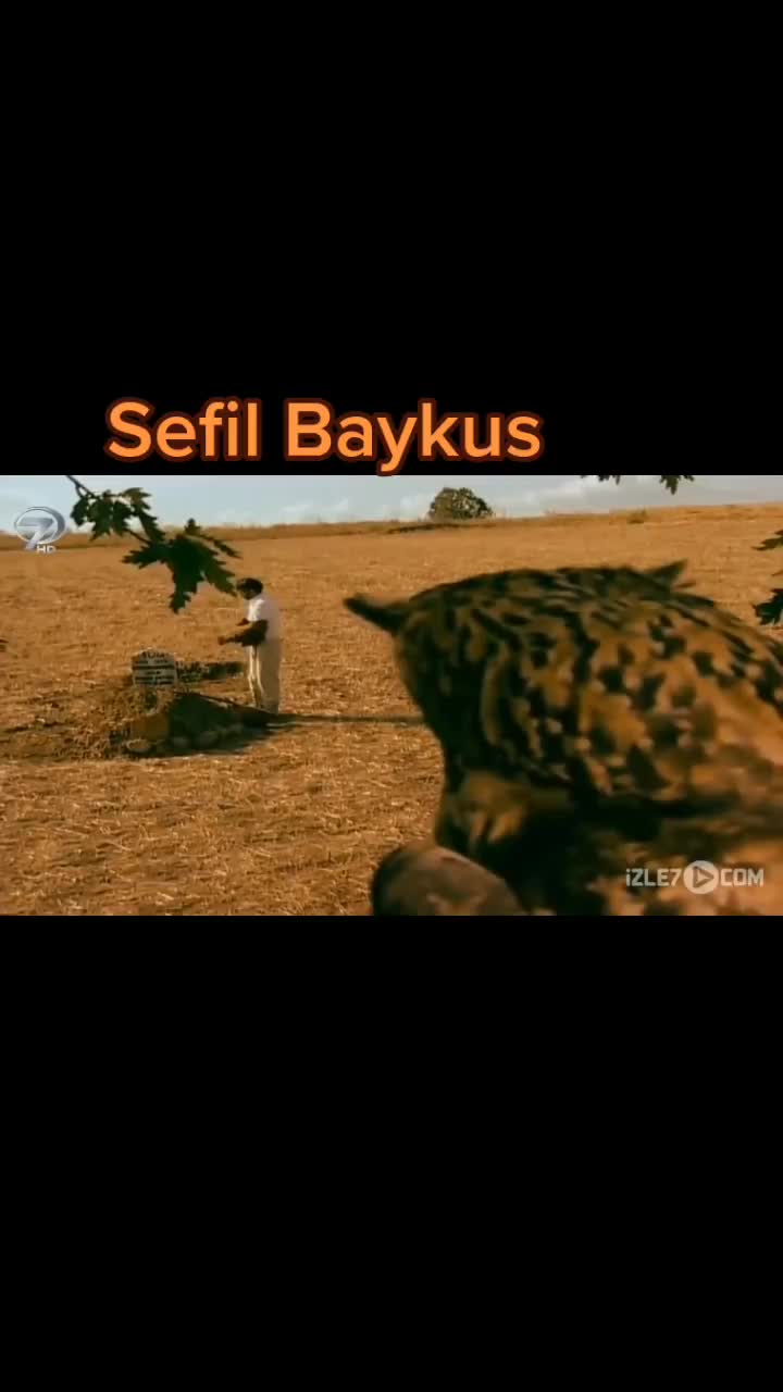 @Tozanli60