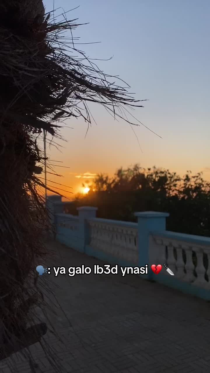 @Hamid 109