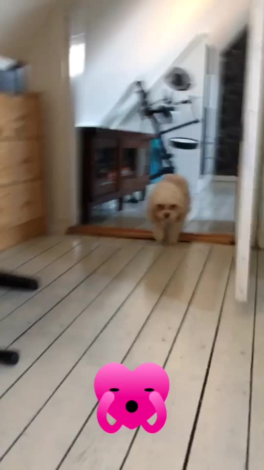 @hubertus.forsberg