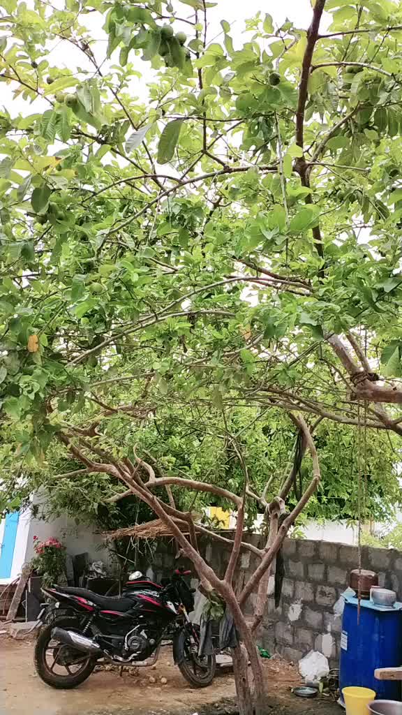 @Rajeshakhi