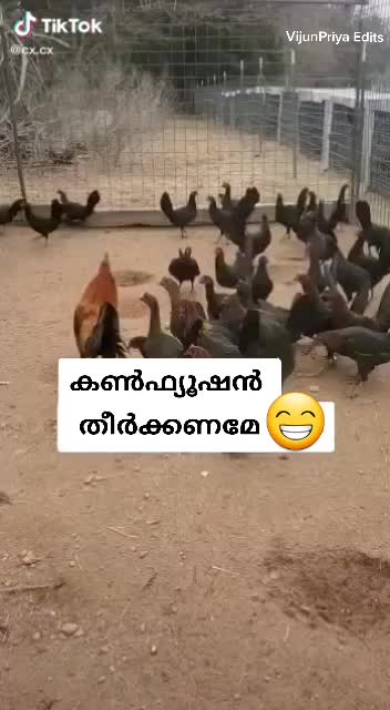 @vijunpriya_2019