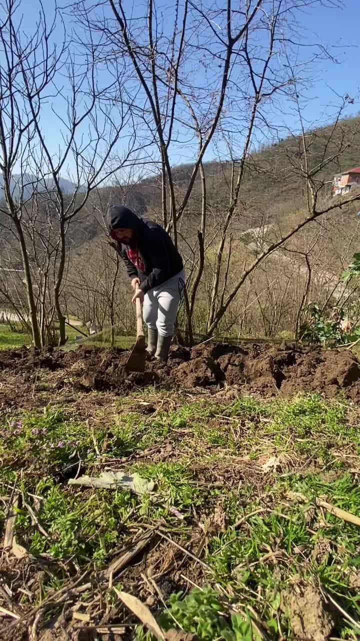 @Yakup Şirin