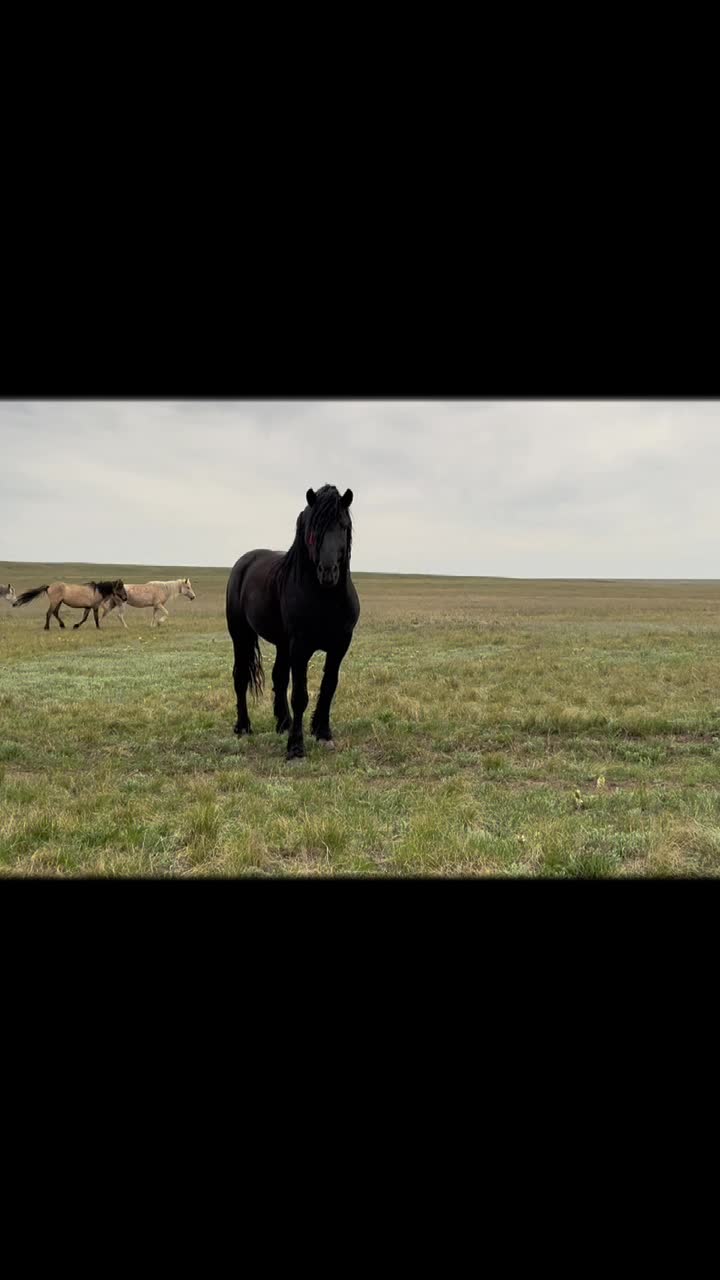 @Есенғали