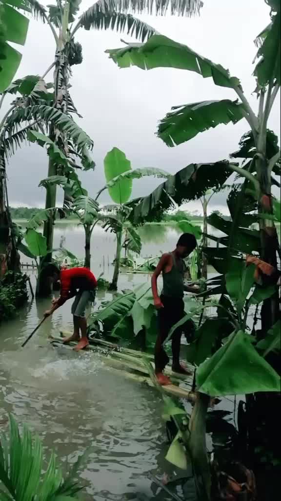 @Korobi Gogoi