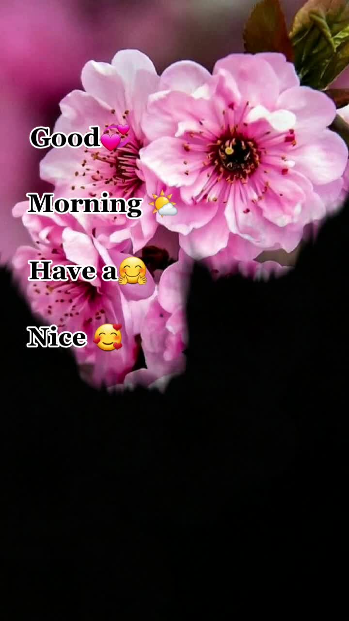 @🤘🖤Xt¥£ì$h ķińğ🖤🤘
