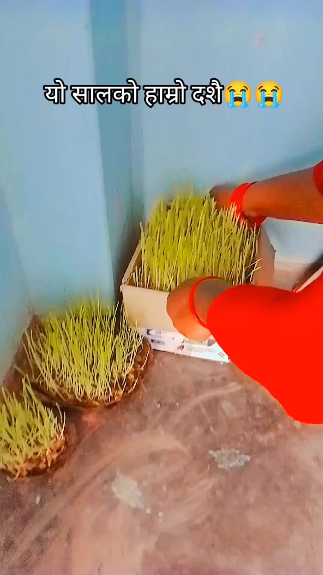 @Geetu🌷✨