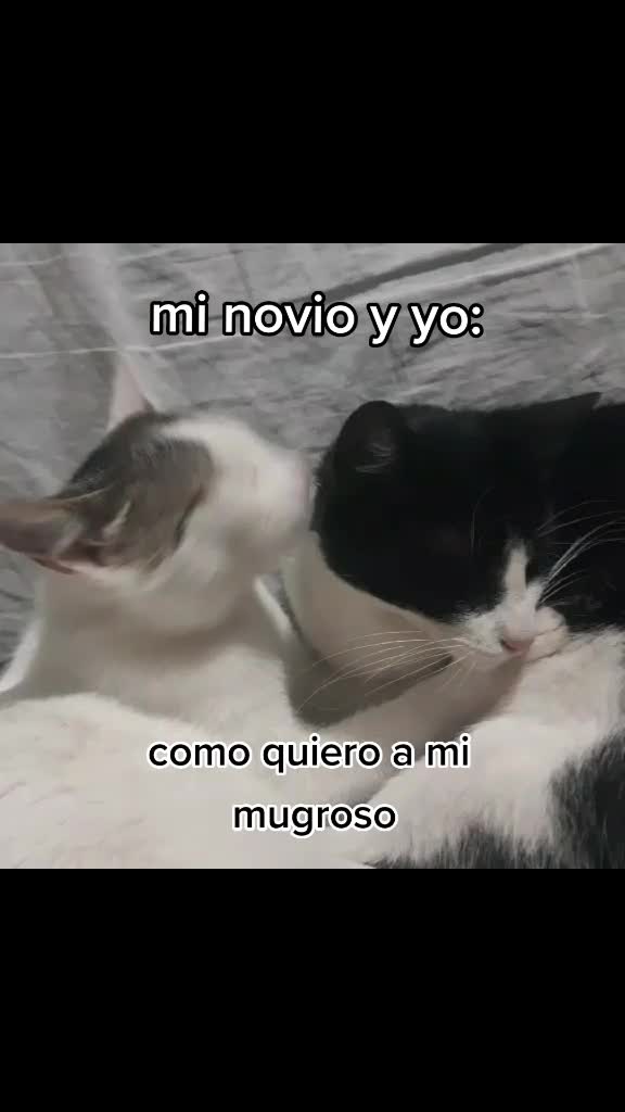 @krosty
