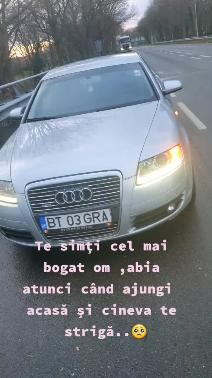 @Denis Gradinaru