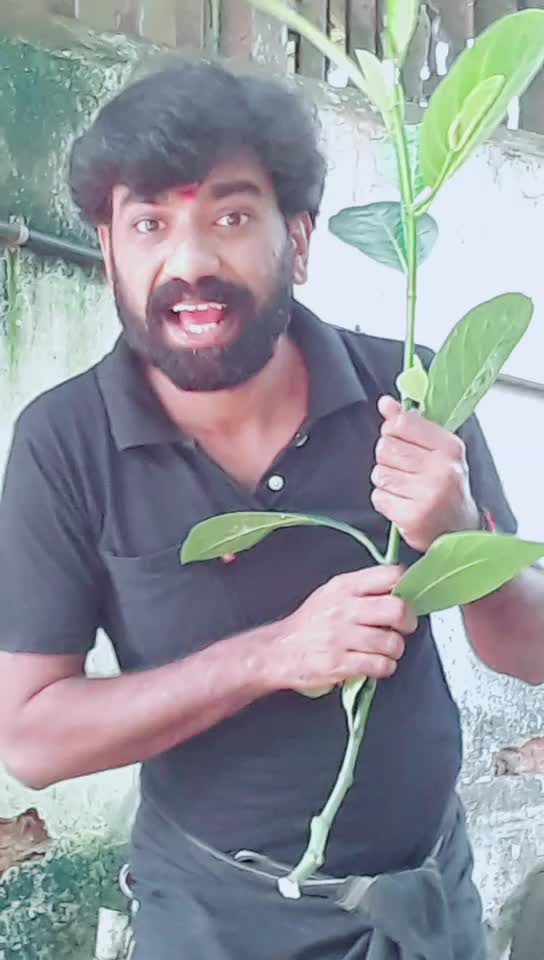 @Renjith Deepu