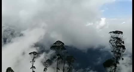 @பூமிராஜா