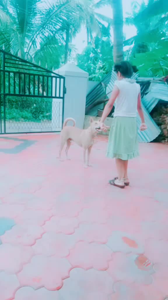 @niyanarayanan