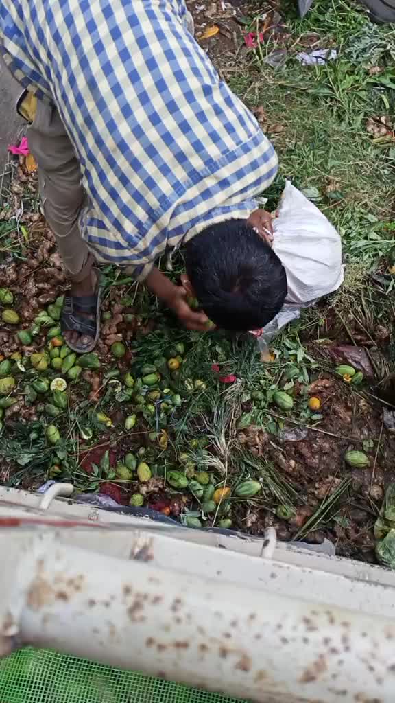 @malhotra7862