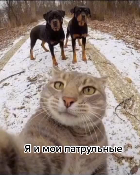 @НКВДшникСССР