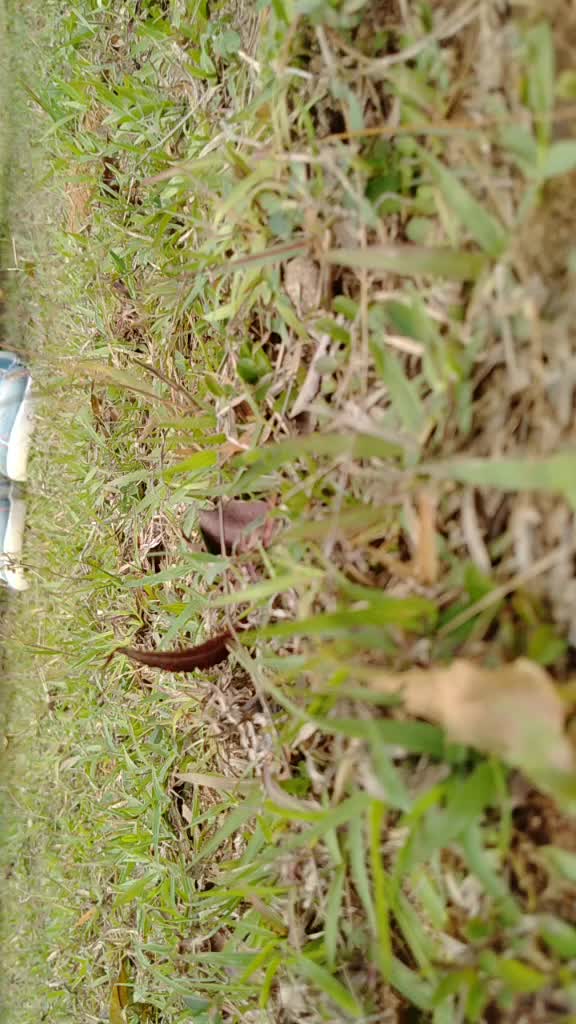 @💞রাফছান আহেমেদ 💞🥵🥵