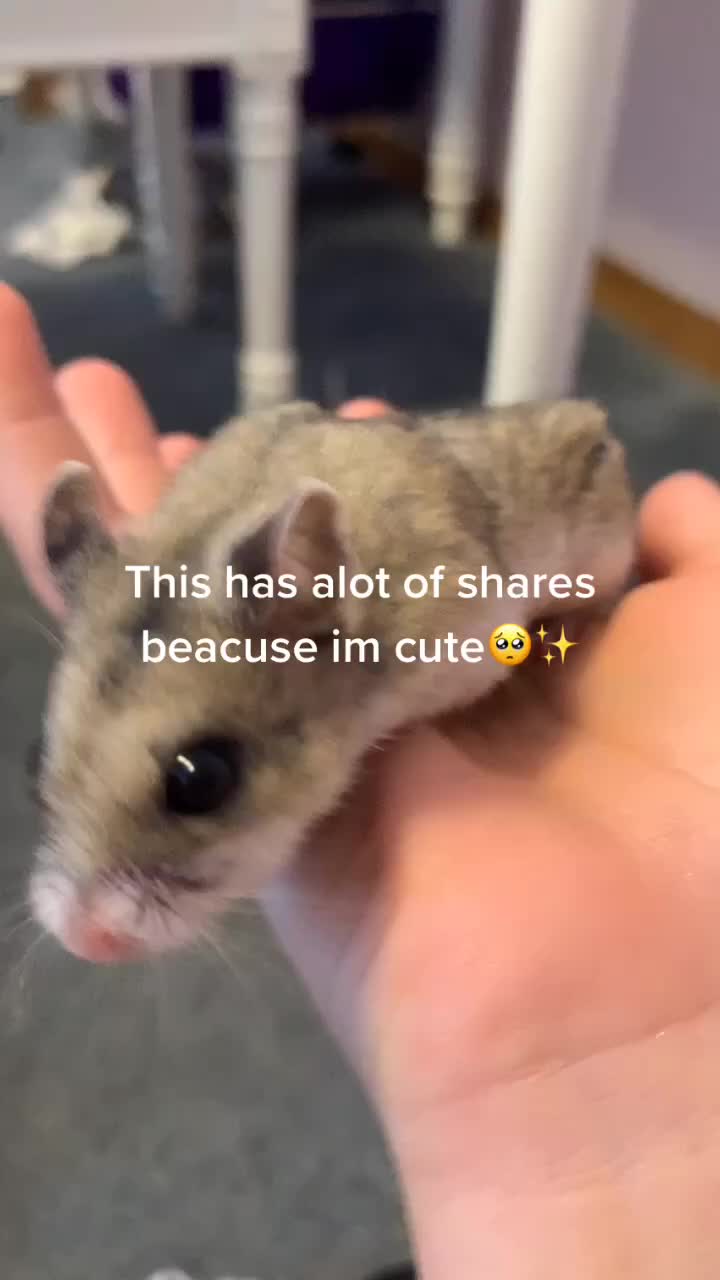 @Hi I’m bob let’s be friends!!!