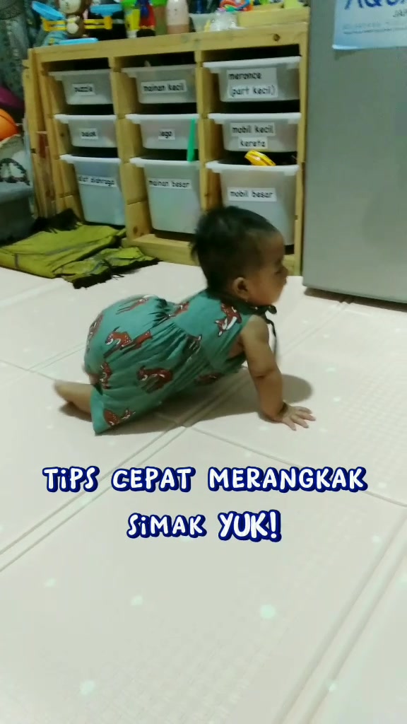 @cipukoya