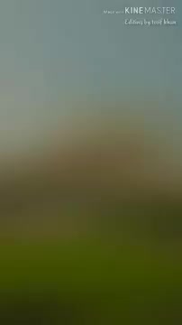@𝙍𝙖𝙟𝙖 𝙠𝙝𝙖𝙣 𝘼