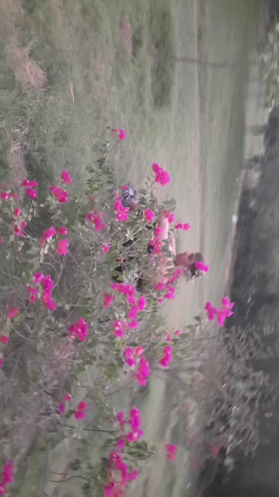 @Naveen