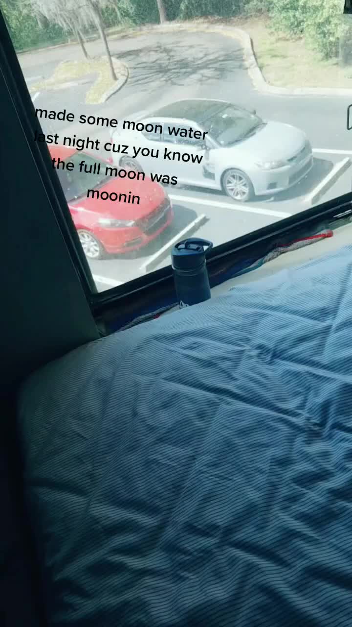 @Jordyn Davis