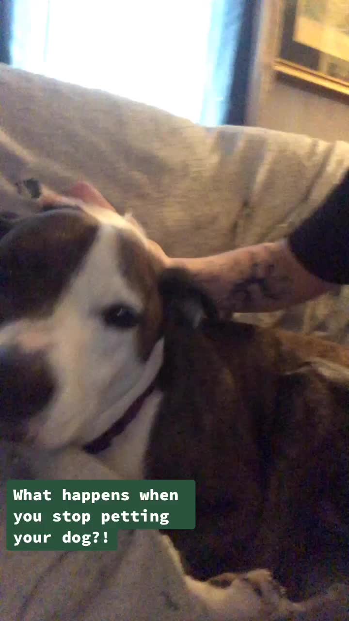@StephyWal13