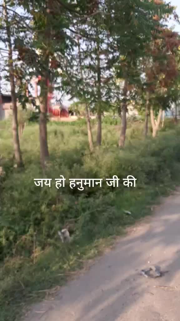 @Dinesh Sharma