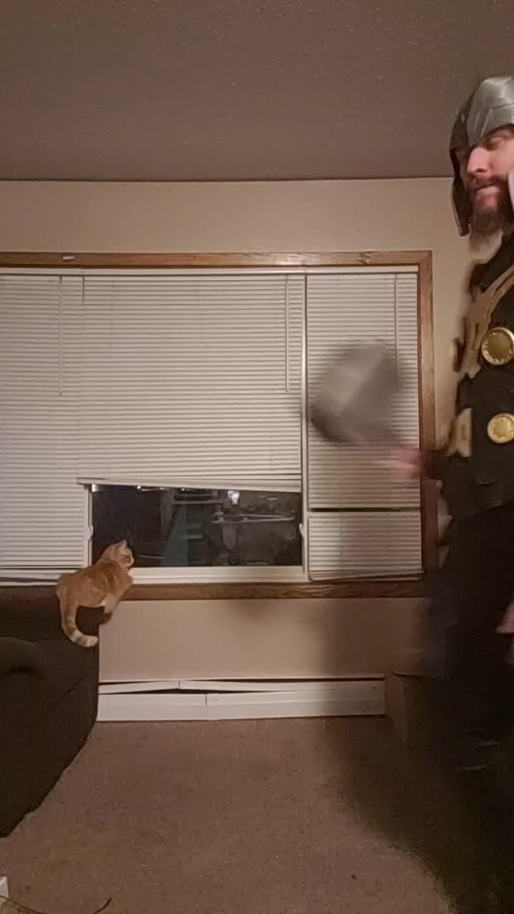 @Dollar_Store_Thor