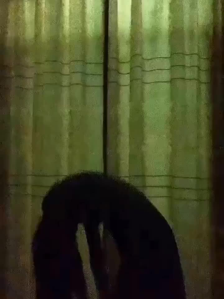 @每日大赛