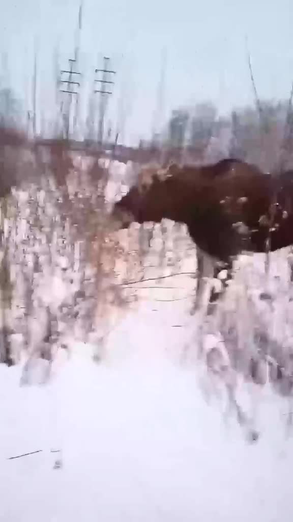 @Евгений Evgeniy