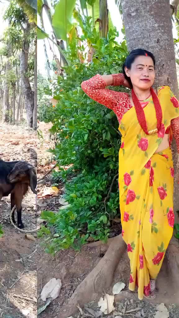 @ritukesi