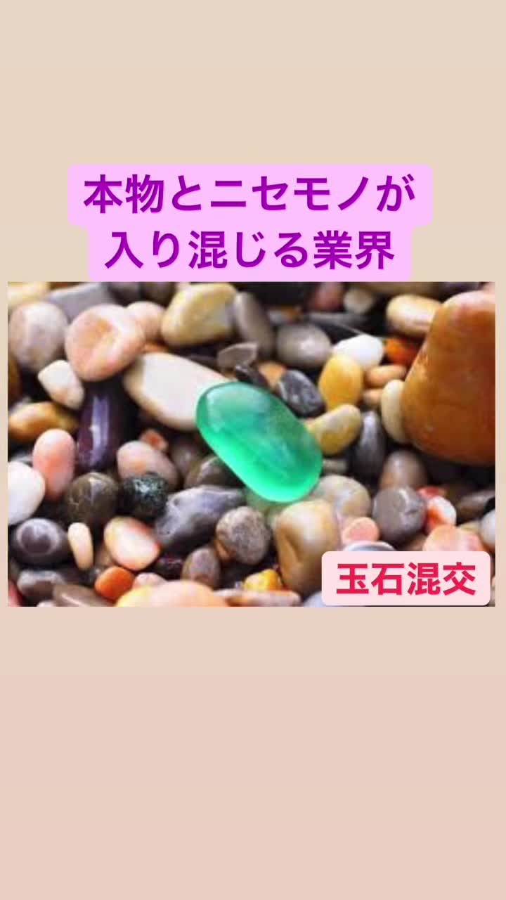 @たけし社長
