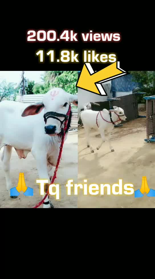 @naveen