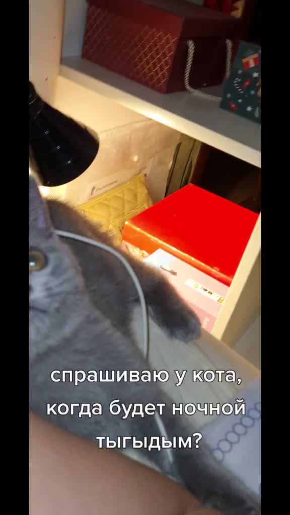 @zena